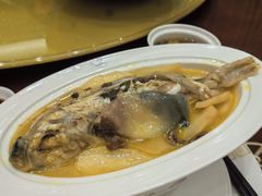 河豚-西苑大酒店