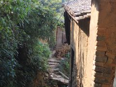 -杨家堂村