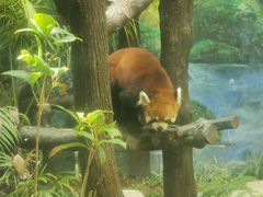 -石排湾郊野公园