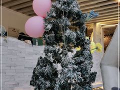 -天空花园餐吧·生日·团建(南山店)