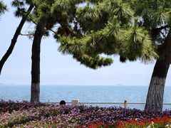 -悦海公园