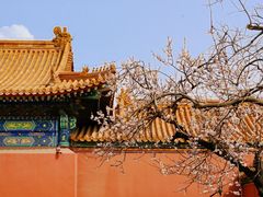 -故宫博物院(故宫)