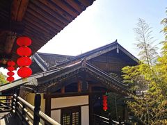 -大唐贡茶院