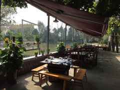 -白鹭湾湿地公园