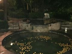 -天目湖涵田半山温泉