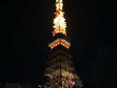 -东京塔海贼王主题公园