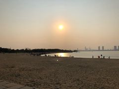 -瑶湖郊野森林公园
