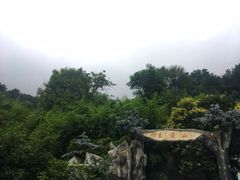 -王顺山国家森林公园