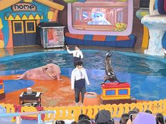 -海合安武汉极地海洋公园