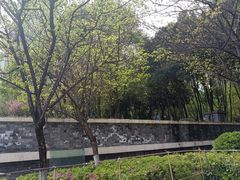 -重庆市江北嘴中央商务区中央公园