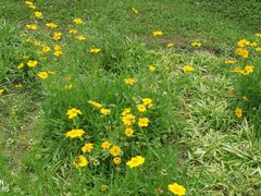 -贵阳市花溪国家城市湿地公园