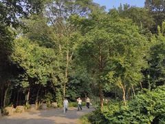 -紫金山天文台