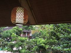 -纳兰傣雀傣味餐厅