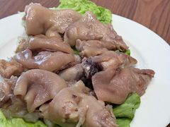 -丁老爷子苏香圆