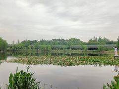 -白鹭湾湿地公园