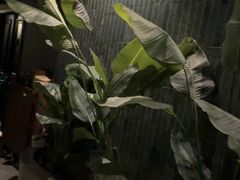 -涟LIAN·泰式按摩·MASSAGE·SPA(华强北店)
