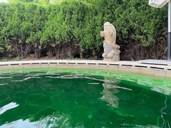 -大连金石滩绿发温泉假日酒店