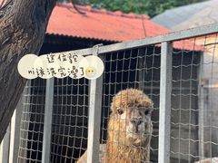 -意大利农场度假村