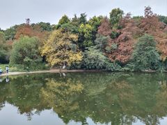 -深圳国际园林花卉博览园