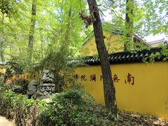 -灵谷景区