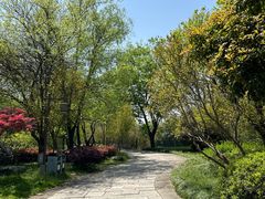 -西溪国家湿地公园