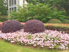 -常熟路(地铁站)