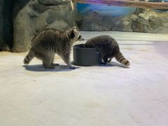 -华夏文旅海洋公园