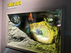 -湖南省地质博物馆