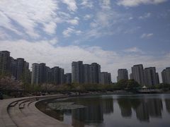 -新江湾城公园
