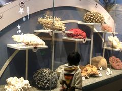 -中国湿地博物馆
