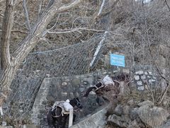-北京凤凰岭