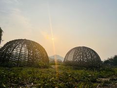 -红山村
