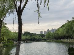 -天鹅湖体育公园