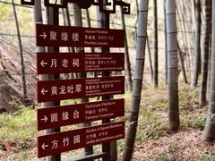 -杭州黄龙洞