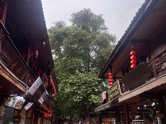 -雅安上里古镇