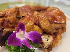 -泉龙渔村·粤式早茶·金牌烧鹅(中山三乡店)