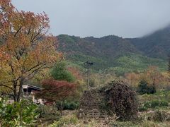 -塔川景区