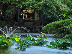 -乾园.魏庐湖景餐厅(花港店)
