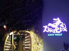 -大灰狼(中心书城店)