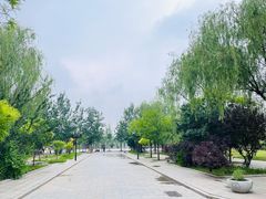 -杨柳青庄园