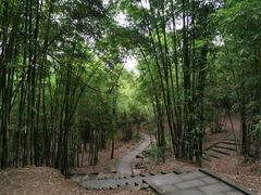 -富乐山