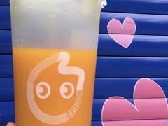 沙棘蜜香绿茶-CoCo都可(盐城大有境店)