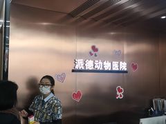 -pd派德宠物中心医院24H急重症·眼科中心·血液透析中心(嵩山北路店)