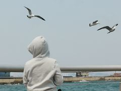 -东港音乐喷泉广场