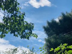 -香山公园