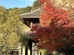 -柯岩风景区