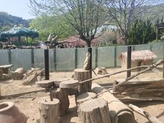 -大连森林动物园