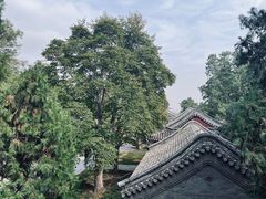 -香山公园