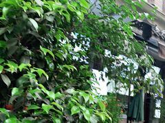-翼果厨(总店)