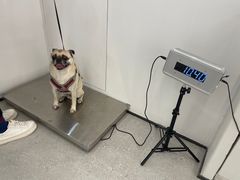 -comecome来吧宠物(奥克斯中心店)